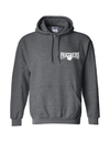 Panthers Hooded Sweatshirt - Dark Heather Grey